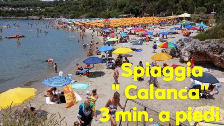 Cialoma Full Green Marina di Camerota Luaran gambar