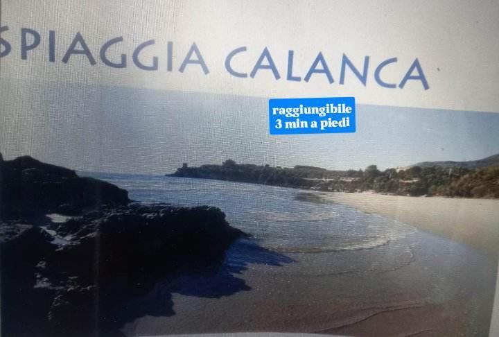 Cialoma Full Green Marina di Camerota Luaran gambar