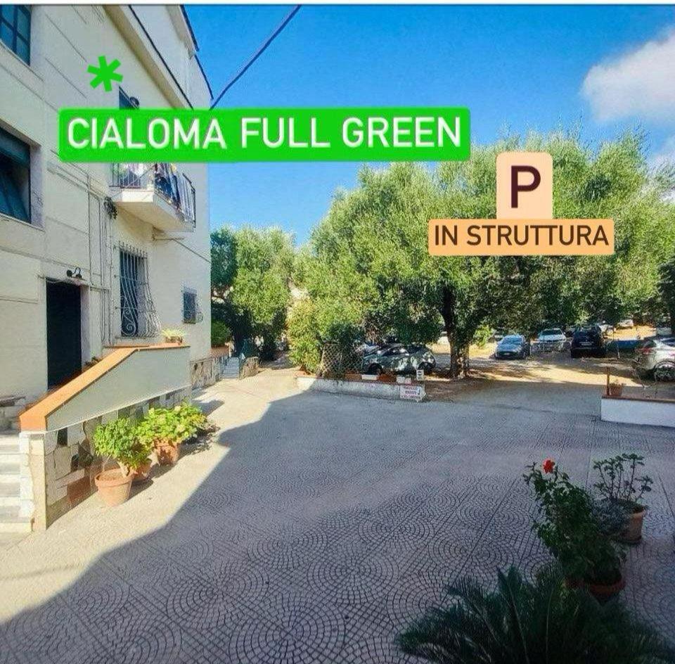 Cialoma Full Green Marina di Camerota Luaran gambar