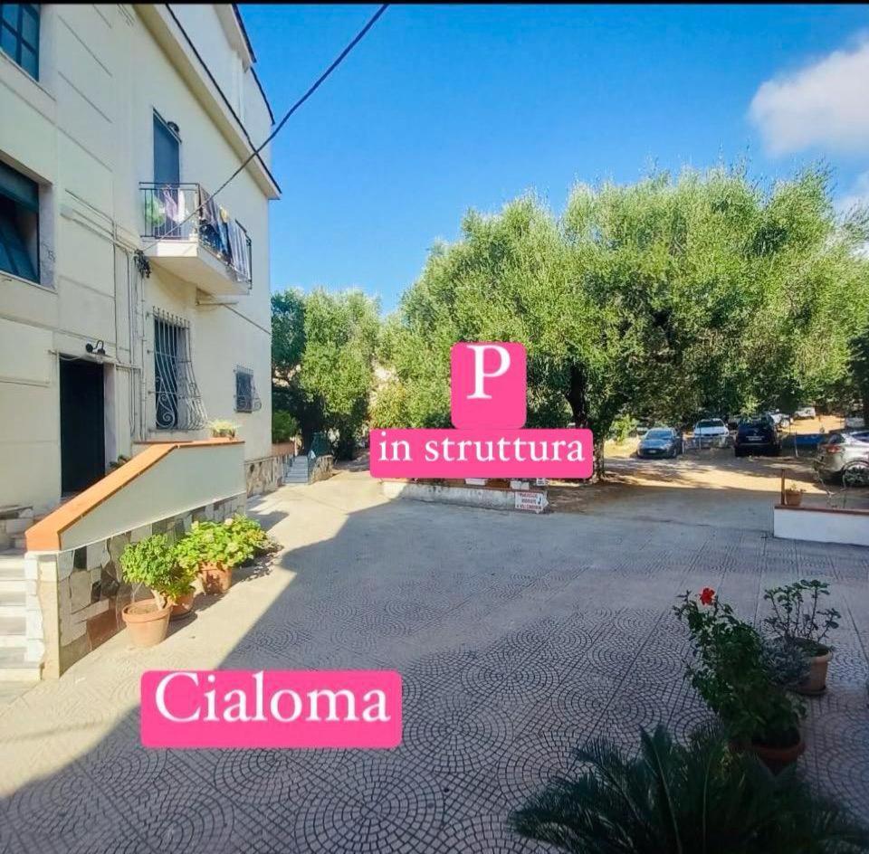 Cialoma Full Green Marina di Camerota Luaran gambar